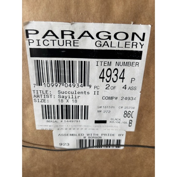 Paragon Picture Gallery Succulents I And II By Sayilir Each 18"x18" - Picture 3 of 7